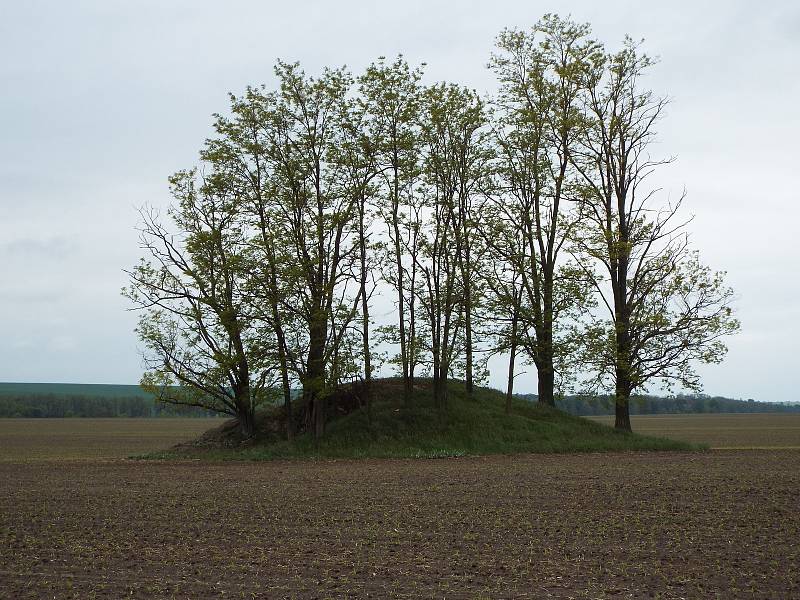 Řopík číslo 434 stojí necelý kilometr  severně od Chvalovic, asi 200 metrů vlevo od silnice E-59 směrem na Znojmo uvnitř zemědělského lánu.