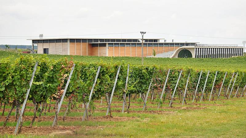 Vinařství Lahofer z Dobšic na Znojemsku se dostalo do finále světové architektonické soutěže MIPIM Awards konané ve francouzské Cannes.