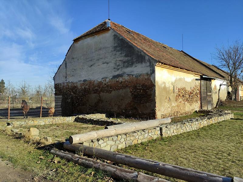 Zimní procházka Hradištěm. Zde základy velkomoravského kostela.