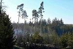 Mezi Pavlicemi a Vranovskou Vsí vzplálo sedm hektarů lesa.