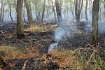  Téměř dvě desítky hasičských jednotek v sobotu od půl páté odpoledne zasahovaly u požáru strniště, pole obilí a akátového remízku v Hostěradicích na Znojemsku. Hořelo na ploše dvacet hektarů. 