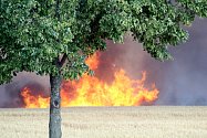 K rozsáhlému požáru pole a pneumatik vyjížděli hasiči v pondělí odpoledne k zemědělskému družstvu nedaleko Purkrábky u Suchohrdel.