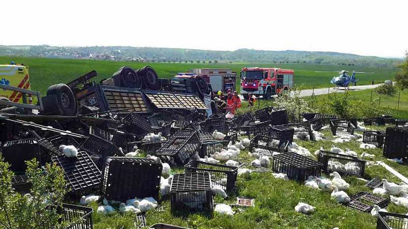 Ve čtvrtek před polednem havaroval na silnici třetí třídy číslo 399 mezi Plavčí a Stupešicemi kamion naložený kuřaty.