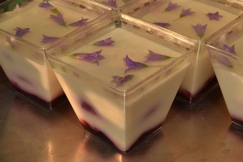 Panna cotta se zvonky a s ostružinami.