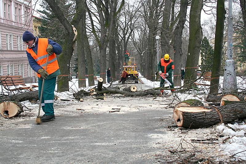 Kácení kaštanů ve znojemských parcích