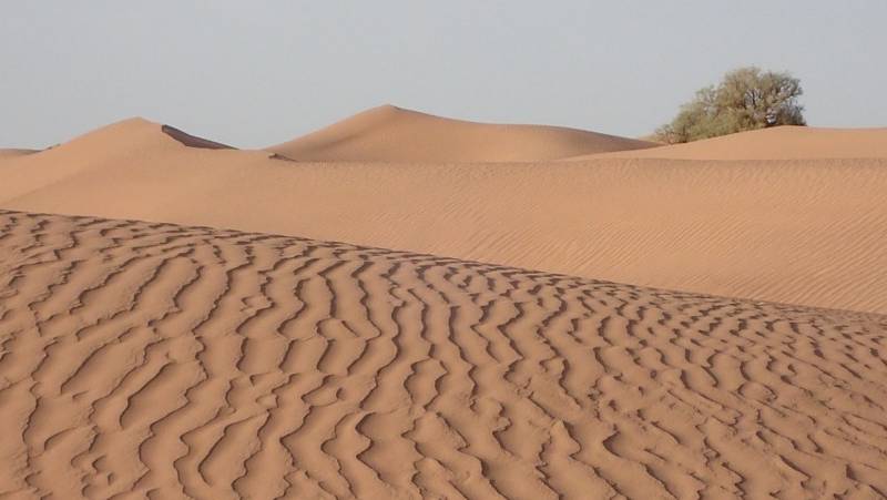 Třídenní pěší trek Saharou zůstává nezapomenutelným zážitkem.