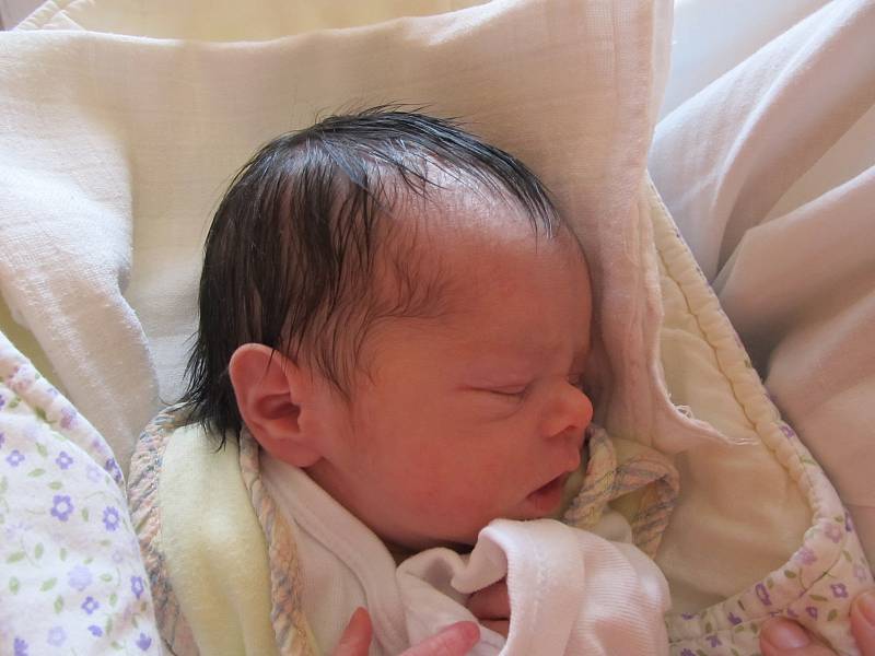 Scarlett Tamara Páleníková, 16.5., 48 cm, 2840 g, Hrušovany nad Jevišovkou