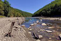 Nízký stav vody ve znojemské přehradě odhaluje historii údolí Dyje v Trauznicích, pod Královým stolcem