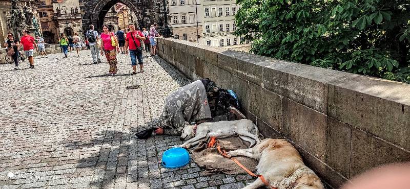 Z vycházek po Praze.