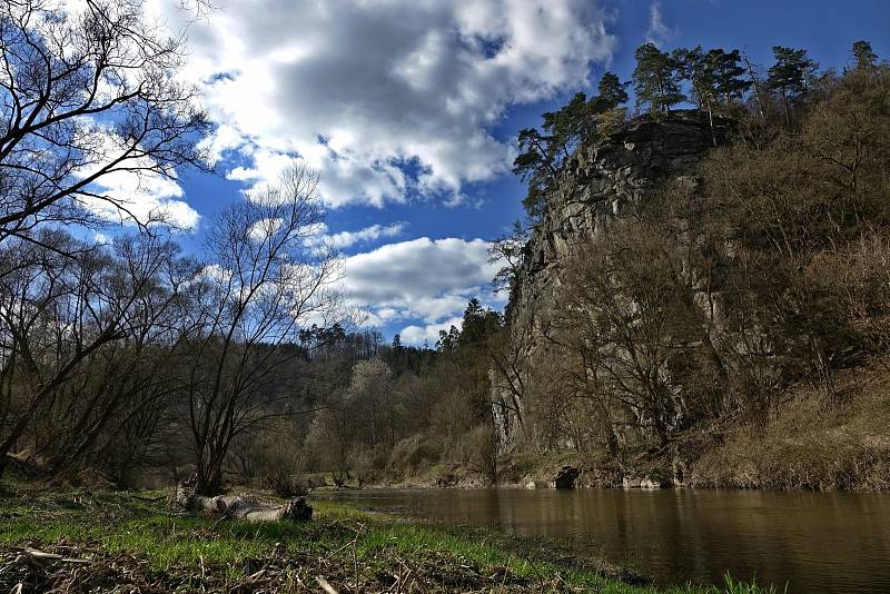 Procházka proti proudu Dyje nad Vranovem.