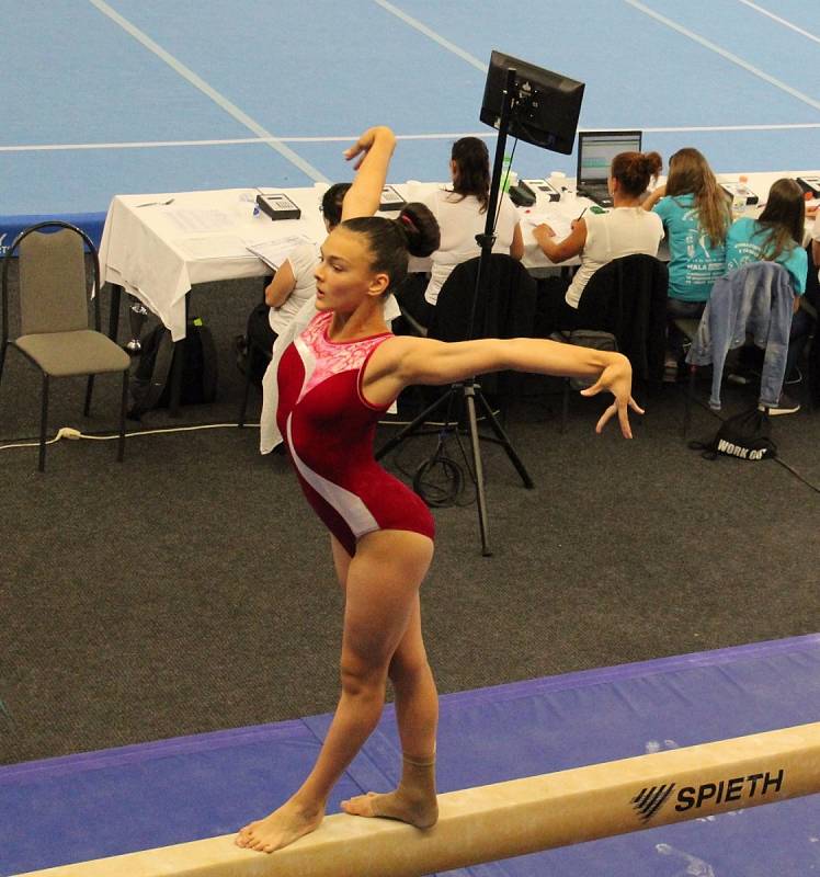 Tři víkendy, tři vrcholné závody. Červen byl v Třinci  ve znamení sportovní gymnastiky a na mistrovství republiky se neztratili ani znojemští závodníci. 