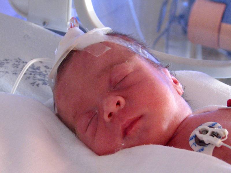 Alena Freyová, 44cm, 1900g, 14.4.2008, Znojmo