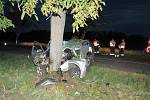 Tragická nehoda se stala ve čtvrtek večer mezi Čejkovicemi a Břežany na Znojemsku. Řidič Škody Octavia tam krátce před dvacátou hodinou narazil do stromu a na místě zemřel.