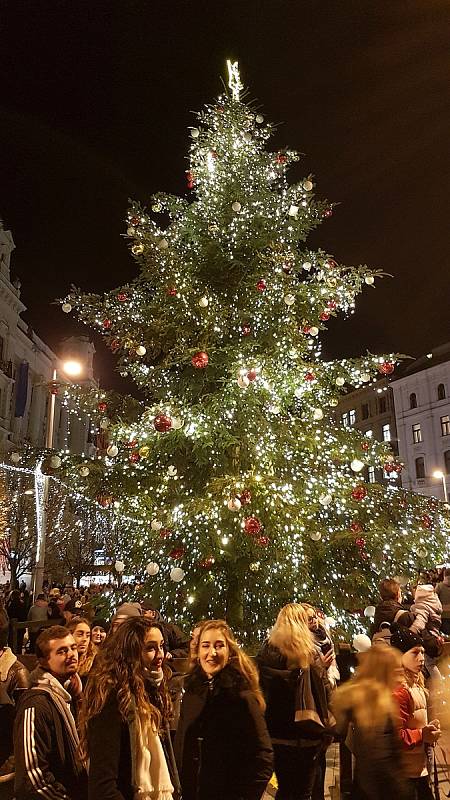 Rozsvícení vánočního stromu na náměstí Svobody v Brně.
