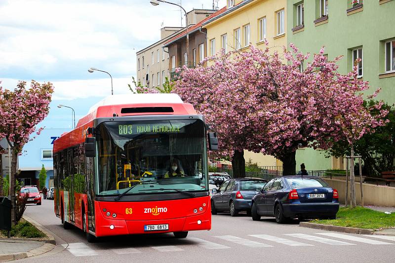 Od prosince budou cestující na Břeclavsku, Mikulovsku a Znojemsku vozit linkové autobusy Znojemské dopravní společnosti Psota. 