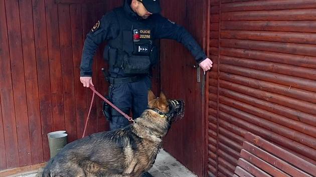 Policisté kontrolovali chaty v rekreační oblasti Vranovské přehrady.