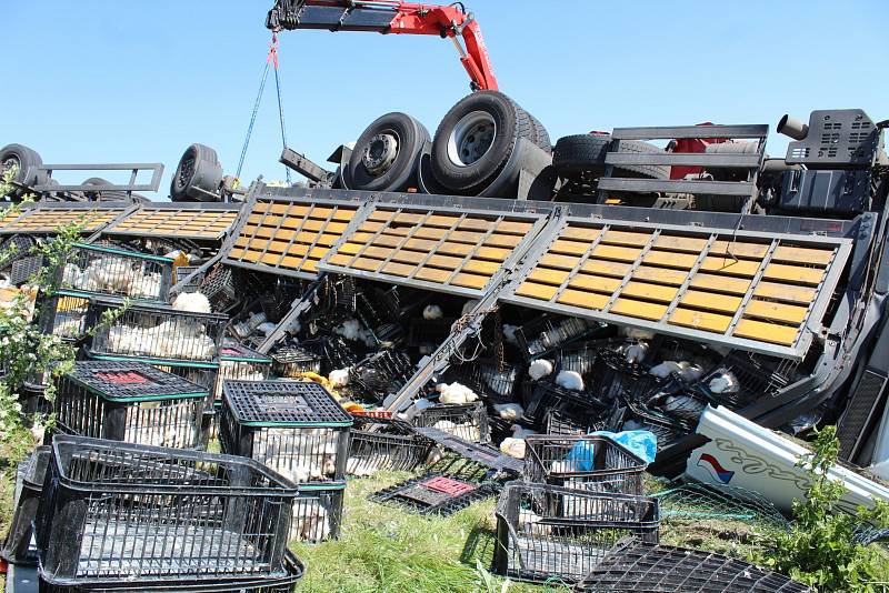 Ve čtvrtek před polednem havaroval na silnici třetí třídy číslo 399 mezi Plavčí a Stupešicemi kamion naložený kuřaty.