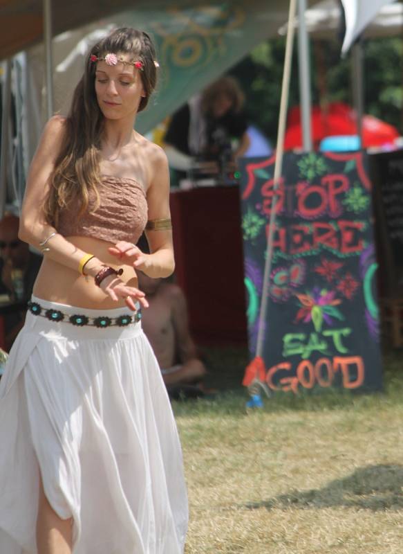 Třídenní rakouský hudební festival s názvem Psy Island si na výrovické přehradě nenechalo ujít na tisíc návštěvníků.