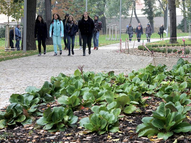 Okolí kašny v Dolním parku ve Znojmě má novou parkovou úpravu. Některé rostliny ještě v polovině října kvetou.