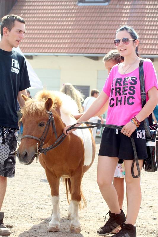 Krojovaná chasa, zpěvy, tance a spousta piva. Tak vypadaly v sobotním parném odpoledni letošní jevišovické dožínky.