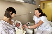 Celkem 902 dětí, z toho šestery dvojčata, se loni narodilo ve znojemské nemocnici. Ilustrační foto