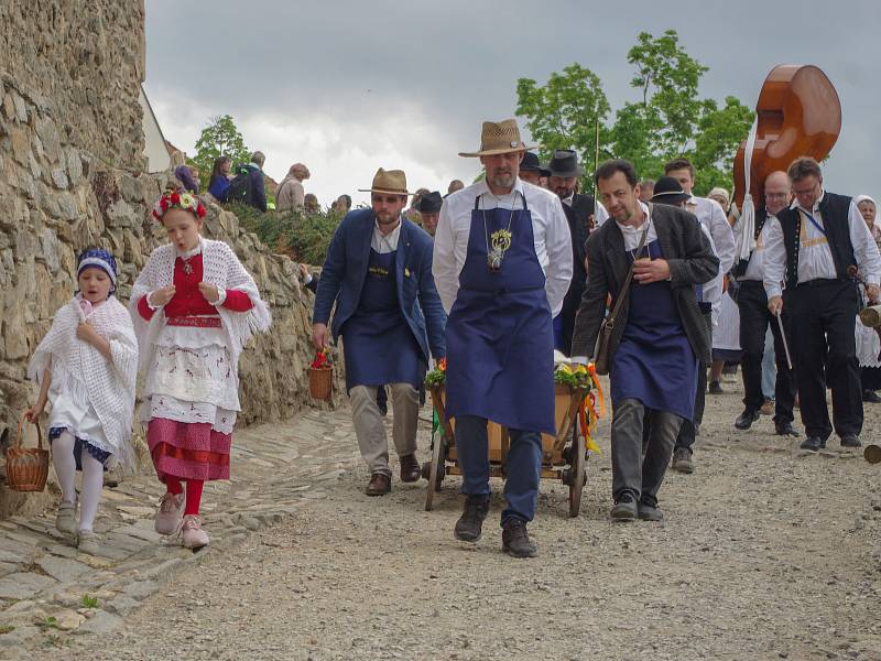 Tradiční vynášení Hroznového kozla ze Znojma do vinic u Konic opět přilákalo víc než stovku účastníků.