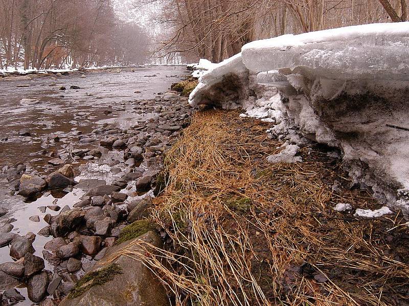 KRY NA BŘEHU. Řeka Dyje v zimě u Devíti mlýnů. Kolísání její hladiny je patrné i z polohy ker na břehu. 