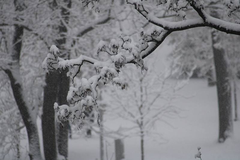 Sníh zasypal ve čtvrtek ráno Znojmo. Na snímku pohled na Dolní park.