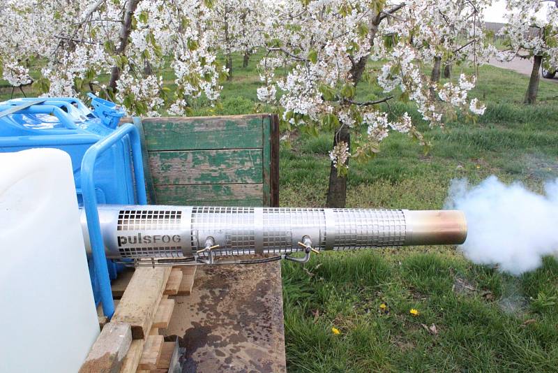 Pokud přijdou mrazy, budou ovocnáři ze Stošíkovic na Louce letos poprvé zkoušet stroj na výrobu mlhy. Má pomoci ochránit stromy před vlivem mrazu.