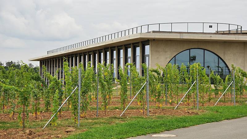 Vinařství Lahofer z Dobšic na Znojemsku se dostalo do finále světové architektonické soutěže MIPIM Awards konané ve francouzské Cannes.