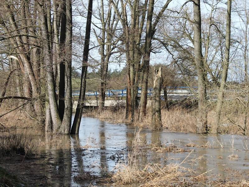 Obleva rozvodnila potok Blatnice v Korolupech. Při povodních v roce 2006 se voda z něj dostala i do objektů v jeho blízkosti.