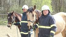 Dobrovolní hasiči z Černína a jejich kolegové měli unikátní cvičení. Profesionální záchranář Tomáš Förchtgott jim ukazoval, zak zachraňovat koně z hořících stájí.