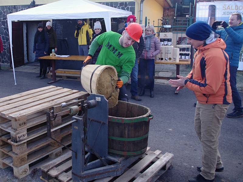 Vinaři v Novém Šaldorfu po osmé otevřeli v lednu své sklepy a připravili recesistickou soutěž v kopání písku.