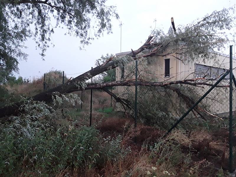 Bouřka působila škody na jižní Moravě, hasiči vyjeli k padesáti událostem.