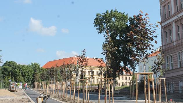 Znojemská radnice nechala v sobotu 6. července 2013 vyměnit uschlé stromy ve střední části parku.