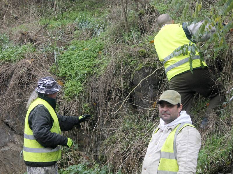 Dělníci v reflexních vestách pracovali ve čtvrtek na odstranění stromů a náletových keřů v okolí silnice v serpentinách mezi Znojmem a Hradištěm.
