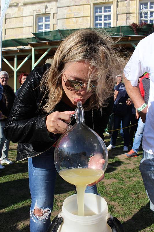 Stovky lidí si o víkendu našly cestu na 13. Burčákfest v Louckém klášteře ve Znojmě. Tradičně se šlapalo víno bosýma dívčíma nohama, ochutnával burčák i vyzrálé víno ve štukovém sále.