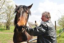 Celoživotní zálibou Milana Kadlečíka, starosty Litobratřic, jsou koně, pomáhá i na farmě synovi.