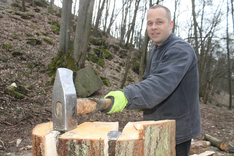 Pracovníci Městských lesů Znojmo likvidují popadané stromy v Gránickém údolí. Dřevo nabízí lesy k prodeji.