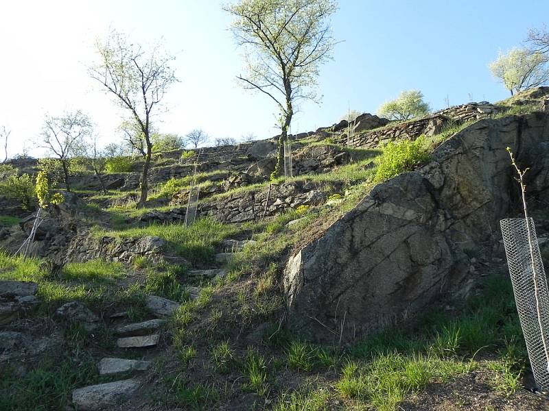 Správci parku Podyjí ocenili Marka Tejrala za péči o hradišťské terasy.