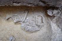 Hrob s kostrou ženy z mladší doby kamenné objevili pracovníci stavební firmy ve Znojmě.