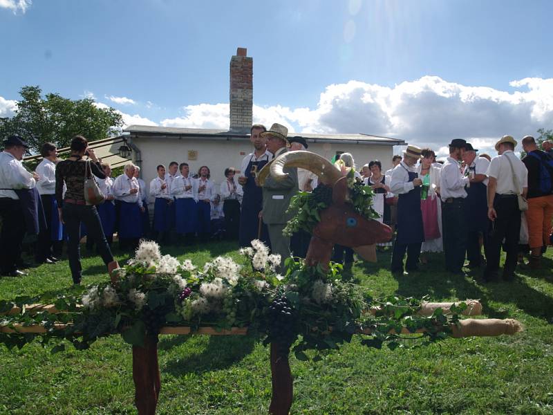 Strážci vinic uzavřeli vinohrady pro všechny kolemjdoucí až do skončení sklizně hroznů.