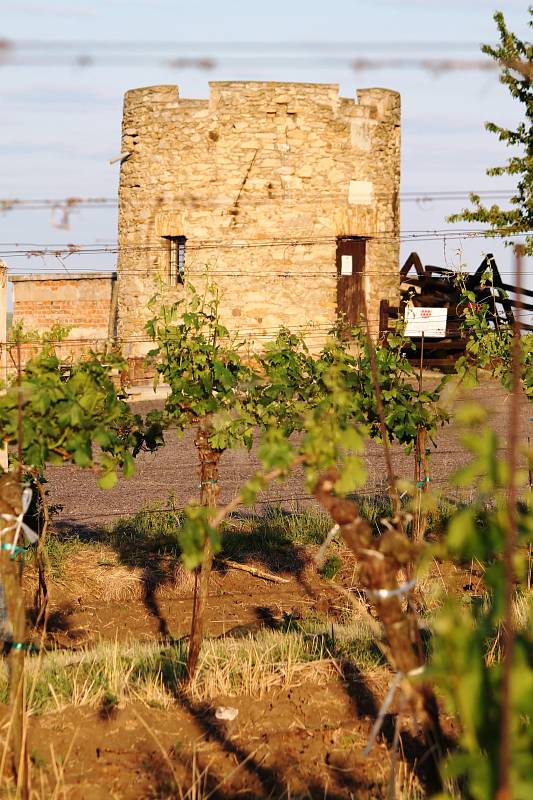 Nově zrekonstruovanou turistickou atrakci nabízí letos milovníkům vína a krásných výhledů do krajiny společnost Lahofer. Lidé mohou navštívit romantický hrádek Lampelberg, který nabízí od začátku června do poloviny září degustaci vína. 