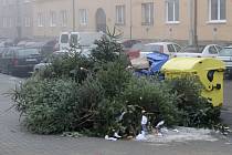 Pohodit vánoční stromek na ulici je zakázané, patří ke kontejnerům na tříděný odpad. Lidé to ale často ignorují.