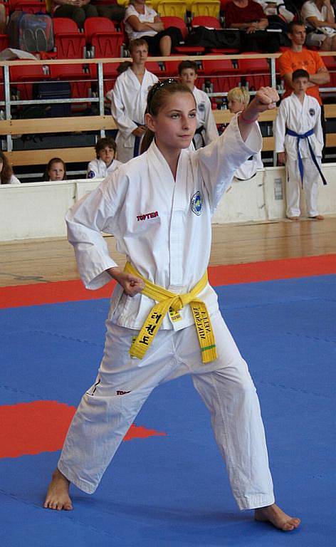 Turnaj Taekwon-do ve Znojmě.