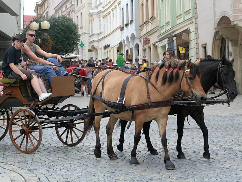 Okurkové dny baví lidi na TGM ve Znojmě. 