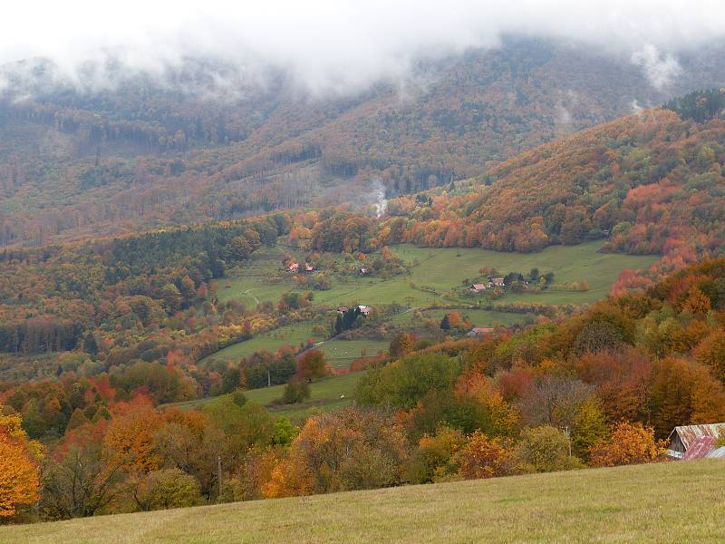 Bošáčky v CHKO Bílé Karpaty.