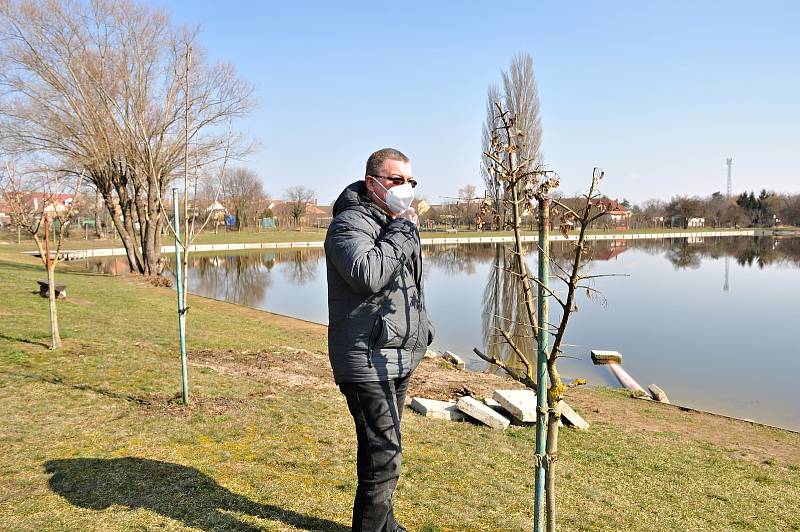 O unikátní soustavu rybníků v Hevlíně se stará obec spolu s rybářským spolkem. Na snímku místostarosta Václav Čaj při kontrole vysázené zeleně