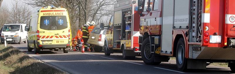 Tragická dopravní nehoda se stala v pátek 18. března odpoledne na silnici druhé třídy mezi Dyjí a Tasovicemi.