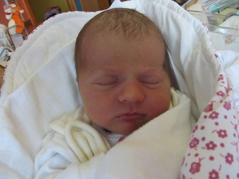 Alena Molíková, 11.4., 50 cm, 3020 g, Suchohrdly 